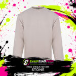 RX301 Sweatshirt - Image 6
